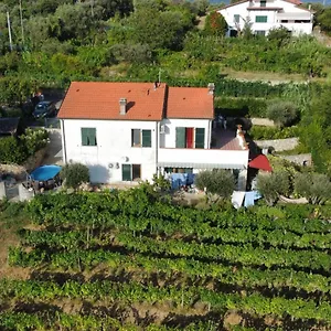 In Vino Veritas , Arcola Italien